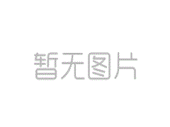 国际ems经济